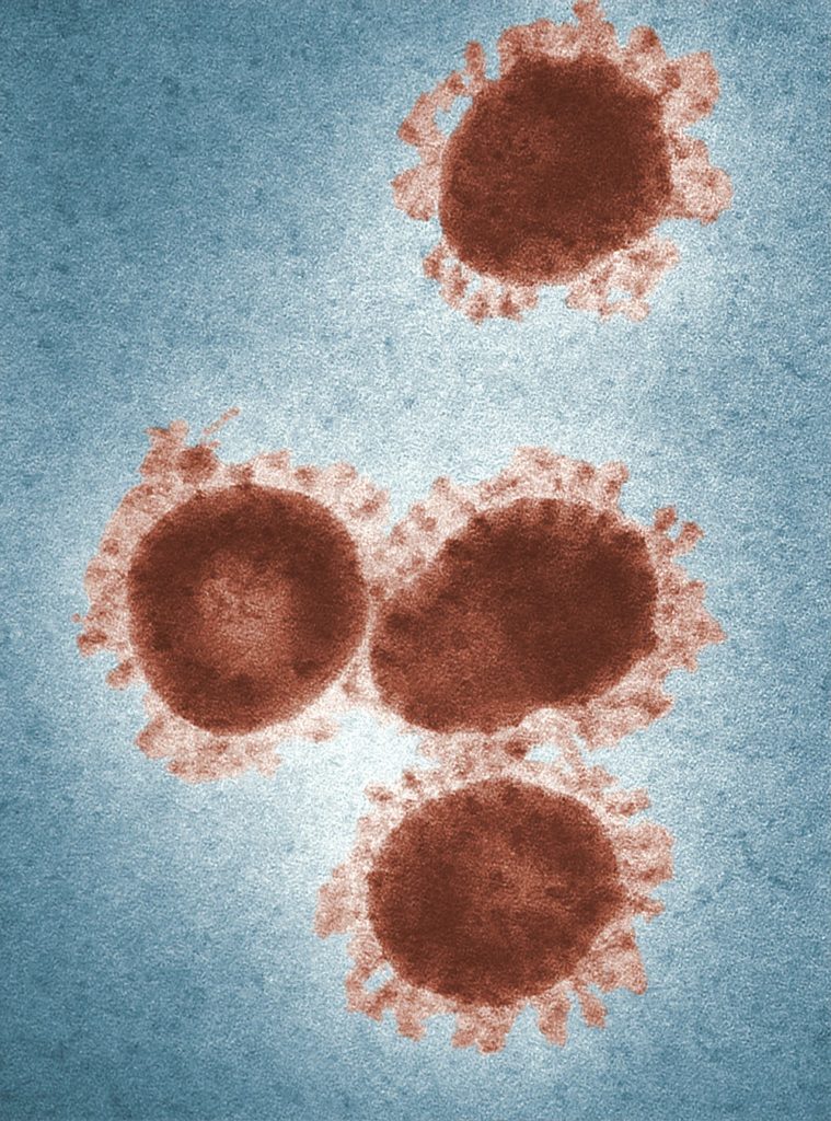 coronavirus-759x1024